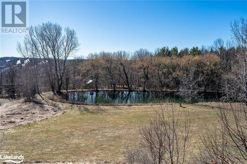 1651 COUNTY ROAD 124 null  Clearview, L0M1H0 | Image 39