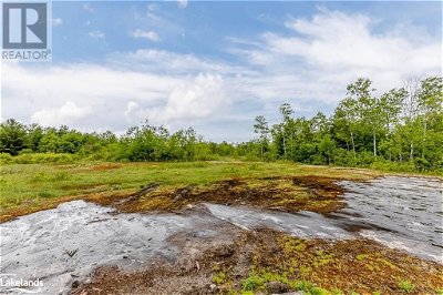 Image #1 of Commercial for Sale at Lot 26-28 Chisholm Trail, Sebright, Ontario