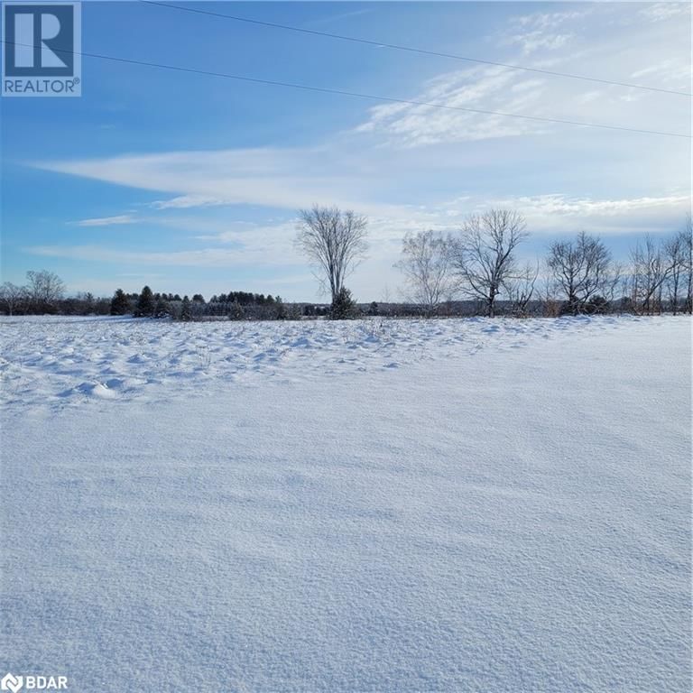 4249 RIVER ROAD NORTH, R.R. 4 null  Lakefield, K0L2H0 | Image 3