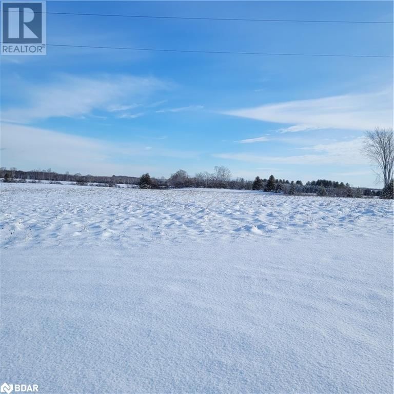 4249 RIVER ROAD NORTH, R.R. 4 null  Lakefield, K0L2H0 | Image 5