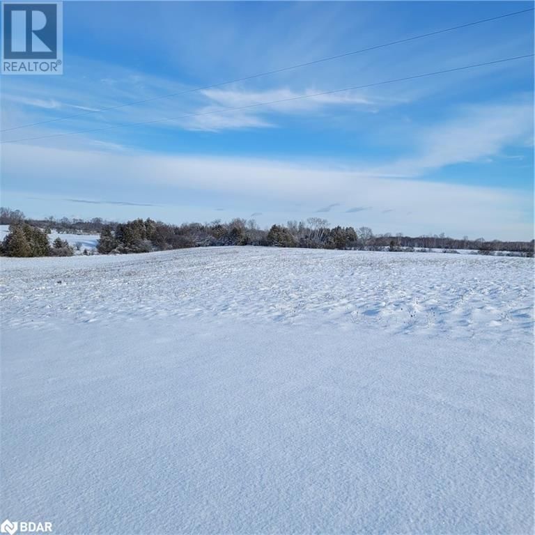 4249 RIVER ROAD NORTH, R.R. 4 null  Lakefield, K0L2H0 | Image 6