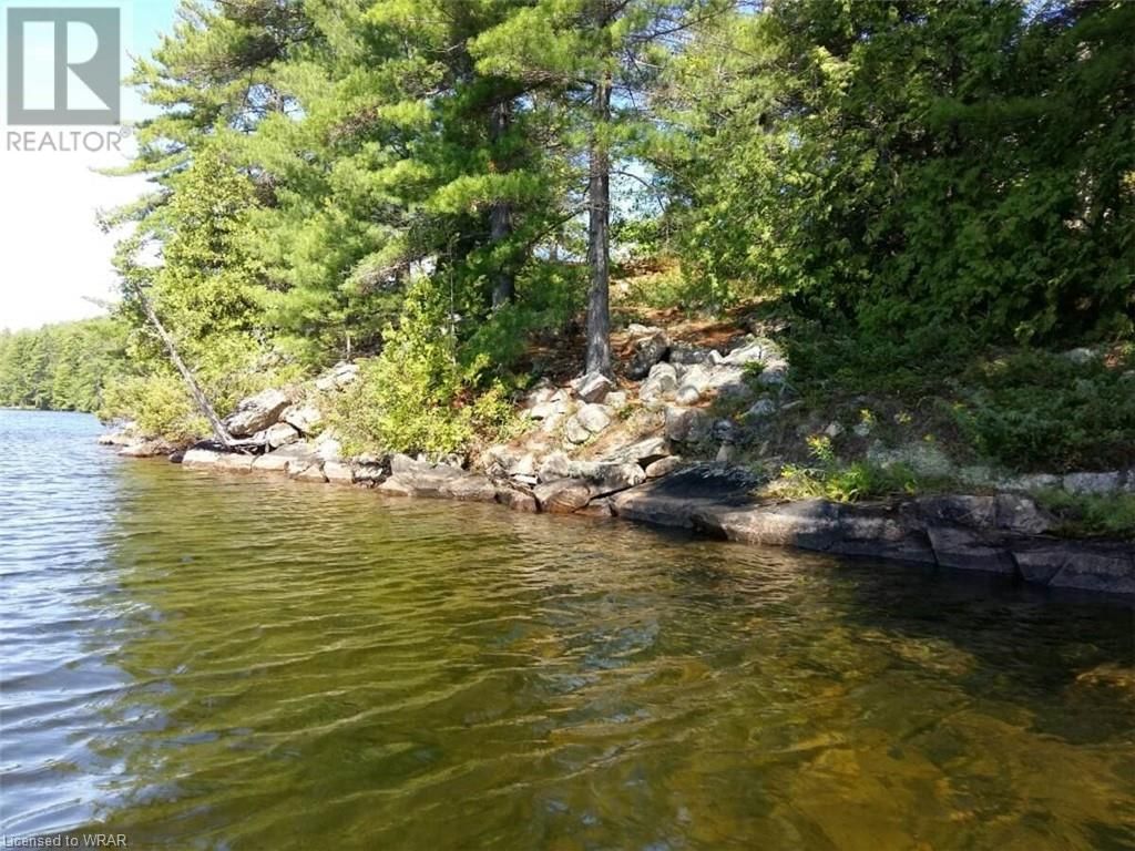 100 KILGORE Island Image 11