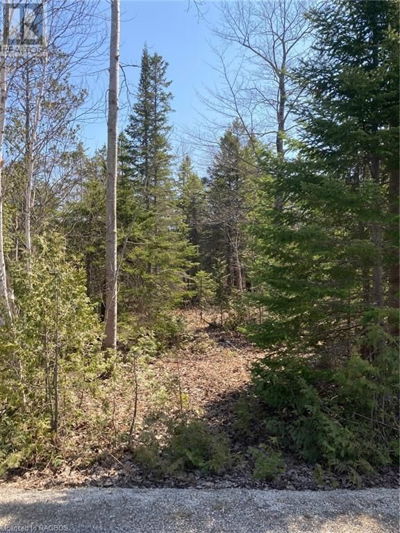 Image #1 of Commercial for Sale at 44 Miller Lake N/a Road, Northern Bruce Peninsula, Ontario