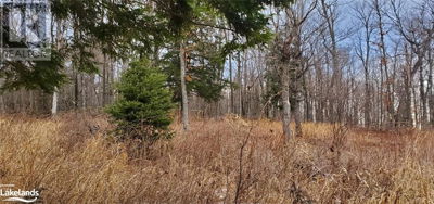 Commercial for Sale in Ontario