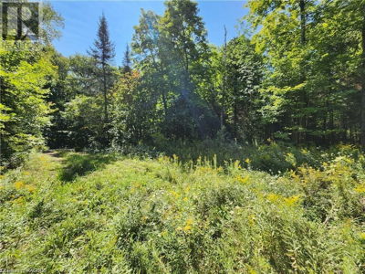 Commercial for Sale in Ontario