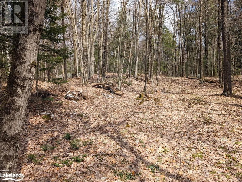 0 RAINEY Road  Bracebridge, P1L1X1 | Image 11