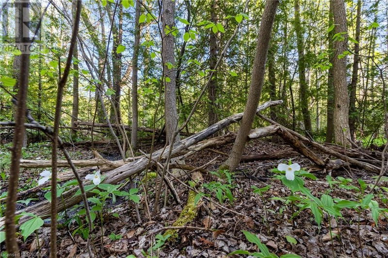 71 MAPLE Drive  Northern Bruce Peninsula, N0H1Z0 | Image 18