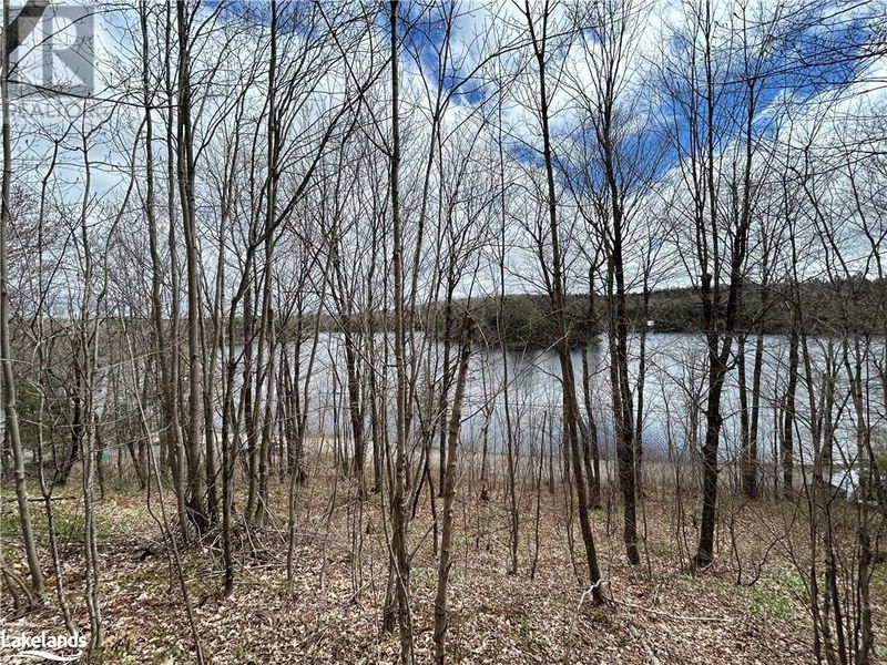 0 BRADY LAKE Road  Minden Hills, K0M2K0 | Image 12