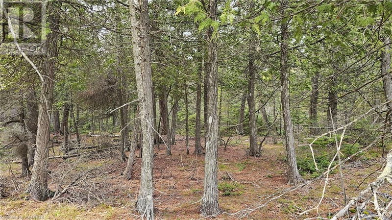 255 PEDWELL PT Drive  Northern Bruce Peninsula, N0H2R0 | Image 3