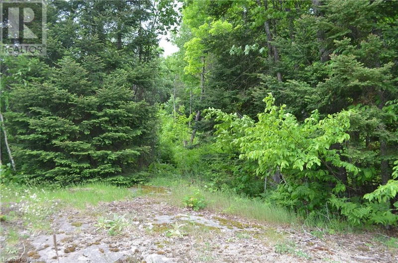 736 HIGHWAY 534 null  Powassan, P0H1Z0 | Image 14