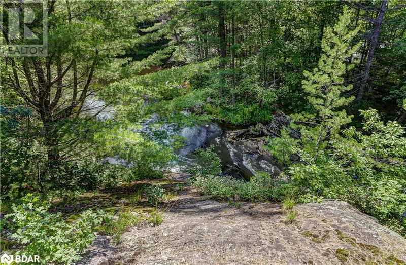 20 BLACK RIVER Road  Washago, L0K2B0 | Image 14