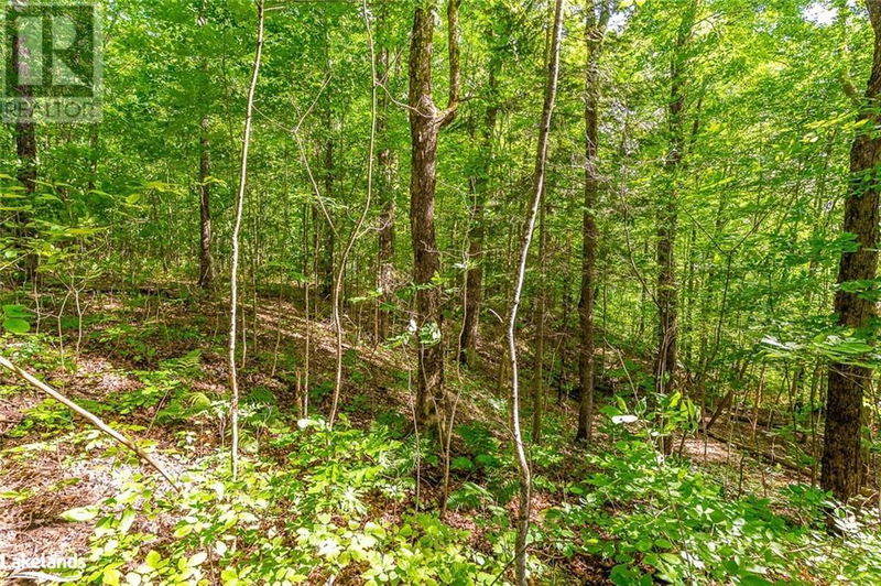 51 WENONA LAKE Road  Haliburton, K0M1S0 | Image 7