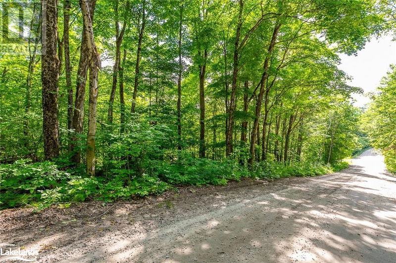 51 WENONA LAKE Road  Haliburton, K0M1S0 | Image 9