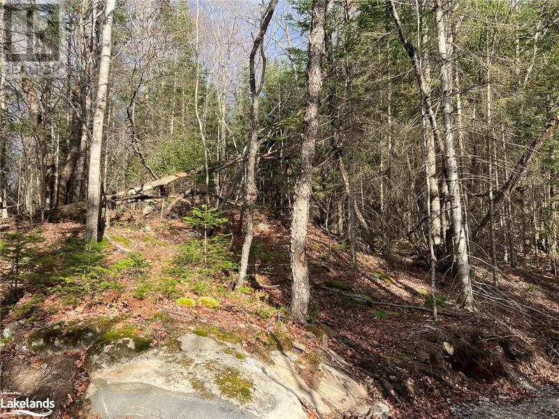 27 BUSHWOLF LAKE Road  Haliburton, K0M1S0 | Image 2