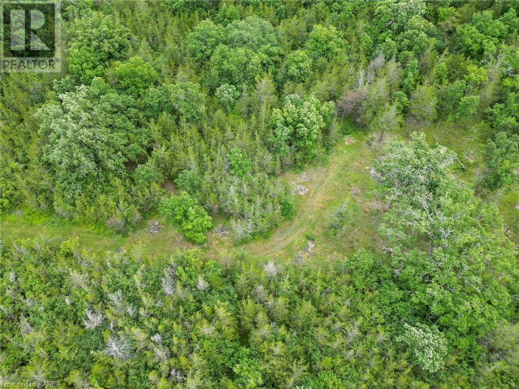 PART LOT 18 CONCESSION 5 COUNTY RD 9 Image 20