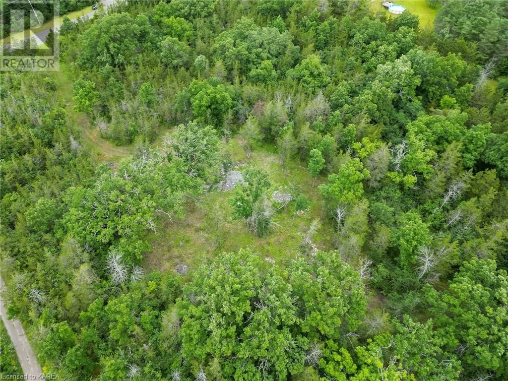 PART LOT 18 CONCESSION 5 COUNTY RD 9 Image 21