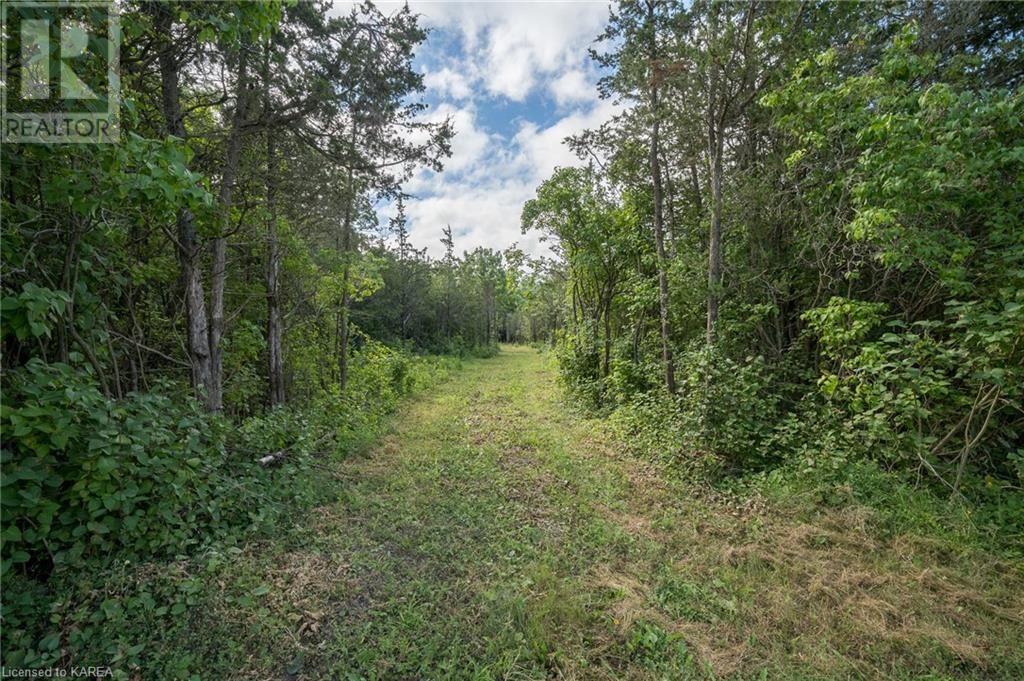 PART LOT 18 CONCESSION 5 COUNTY RD 9 Image 25