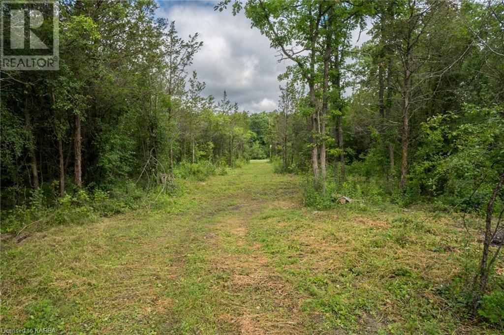 PART LOT 18 CONCESSION 5 COUNTY RD 9 Image 33