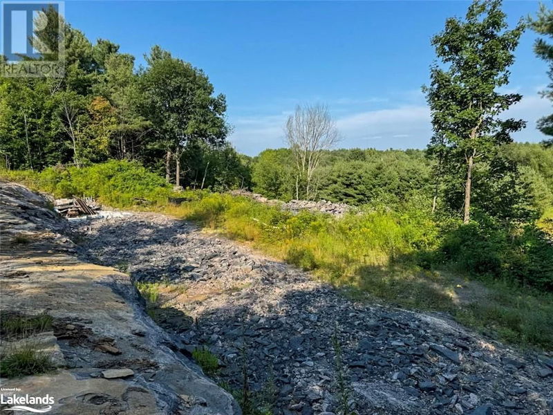 1681 MUSKOKA BEACH Road  Bracebridge, P1P1R1 | Image 1