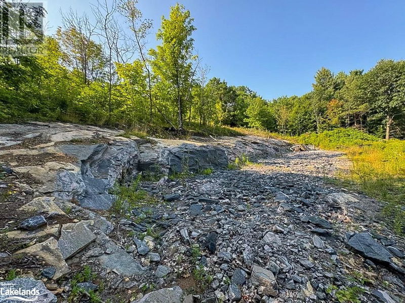 1681 MUSKOKA BEACH Road  Bracebridge, P1P1R1 | Image 2