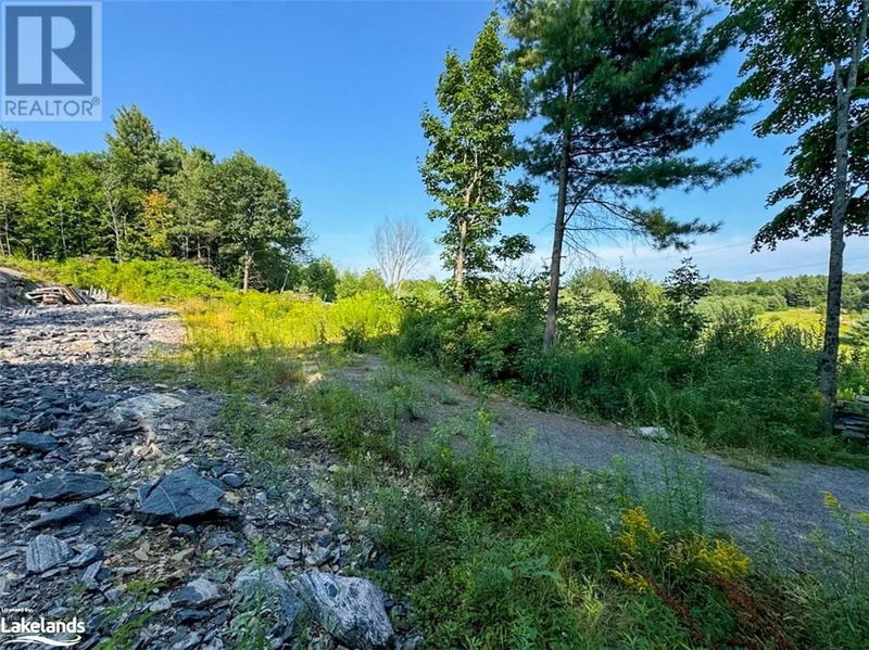 1681 MUSKOKA BEACH Road  Bracebridge, P1P1R1 | Image 3