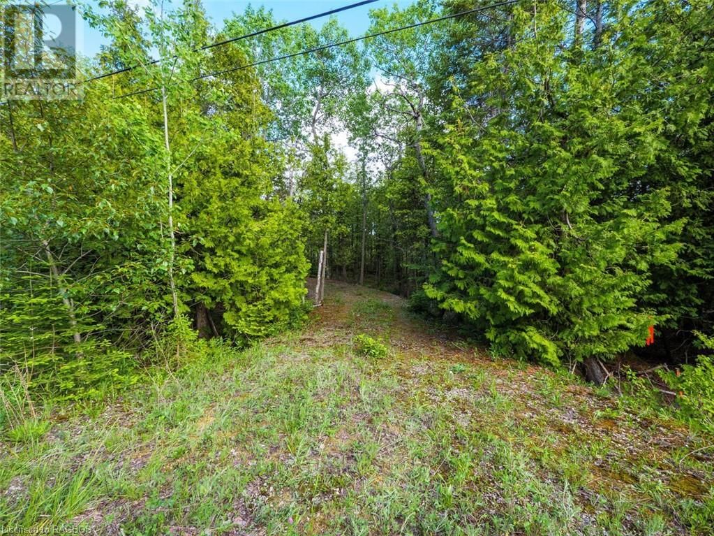 LOT 31-32 BIG TUB Road Image 11