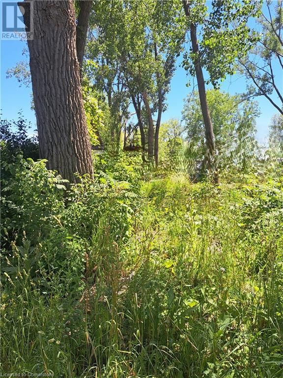 570 HARRINGTON ROAD Image 3