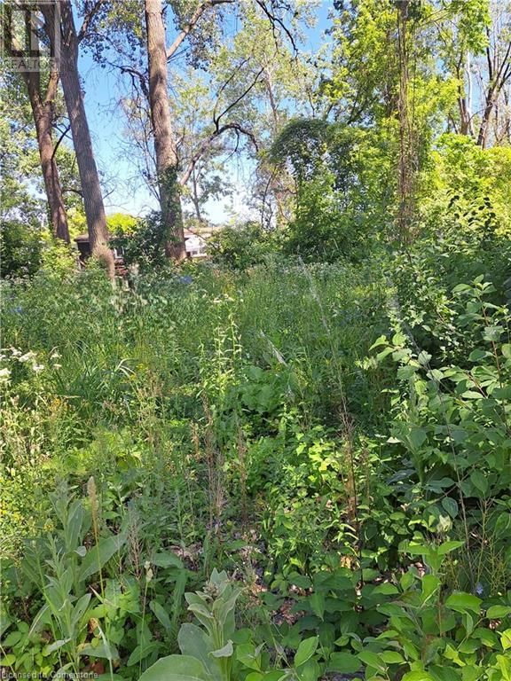 570 HARRINGTON ROAD Image 4