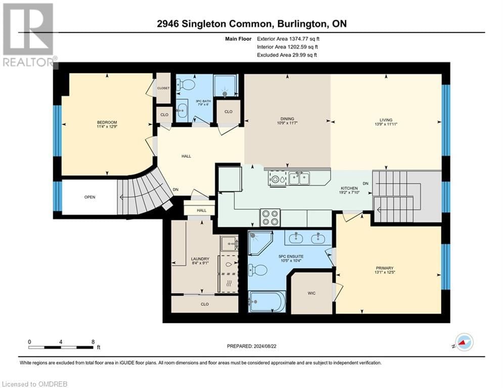 2946 SINGLETON Common Image 38