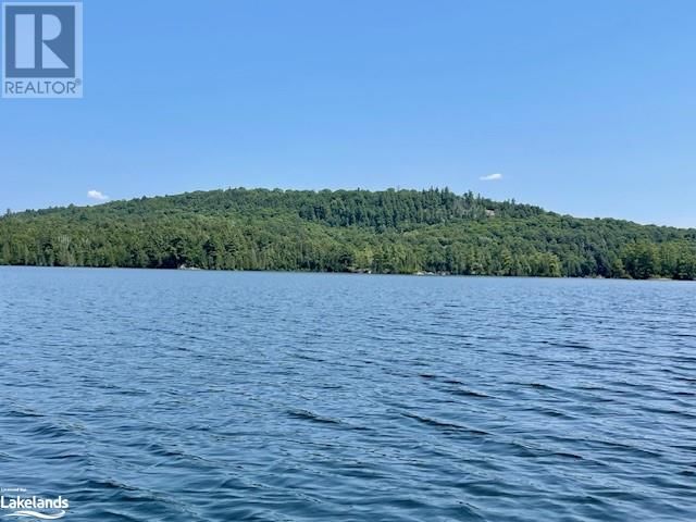 73 ISLAND LAKE Image 16