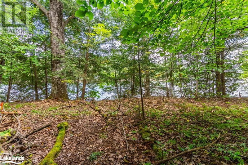 1024 TARPAPER Trail  Haliburton, K0M1S0 | Image 14