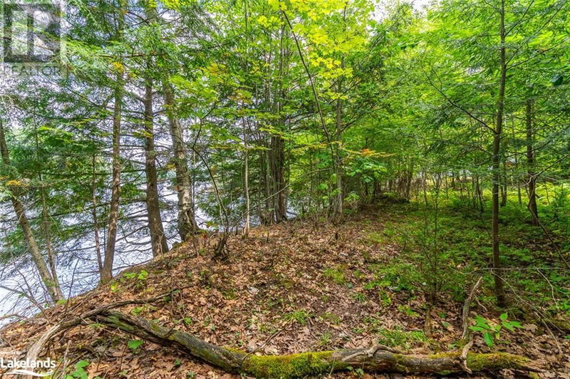 1024 TARPAPER Trail  Haliburton, K0M1S0 | Image 16