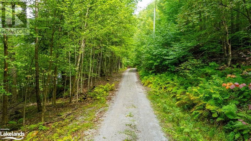 1024 TARPAPER Trail  Haliburton, K0M1S0 | Image 6