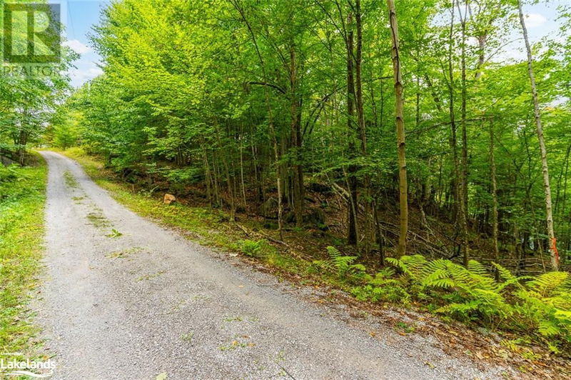 1024 TARPAPER Trail  Haliburton, K0M1S0 | Image 7