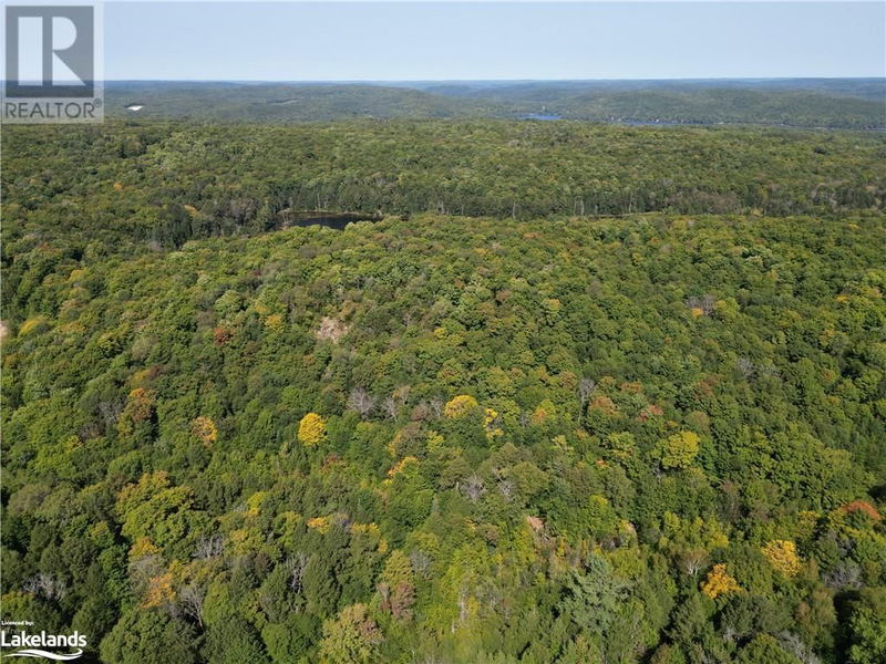 0 BUSHWOLF LAKE Road  Haliburton, K0M1S0 | Image 1