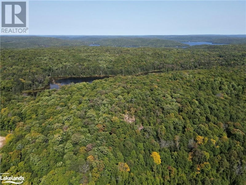 0 BUSHWOLF LAKE Road  Haliburton, K0M1S0 | Image 11