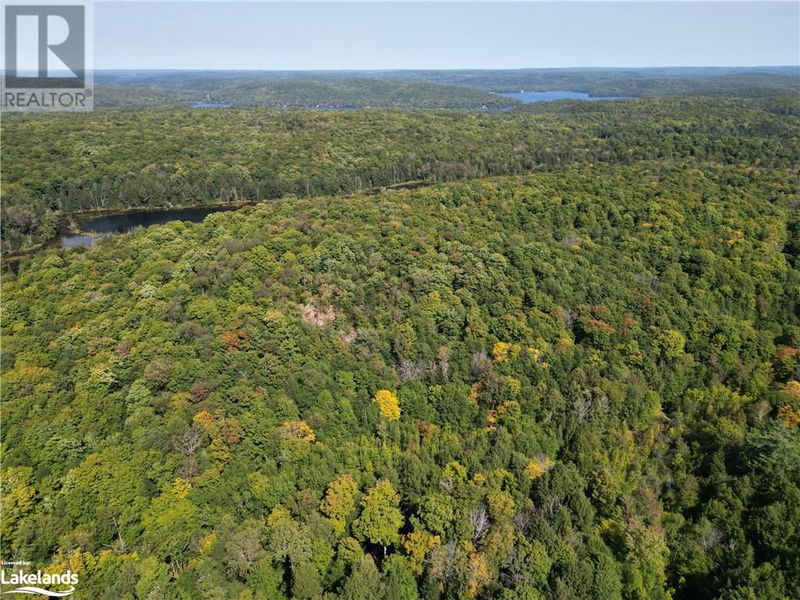 0 BUSHWOLF LAKE Road  Haliburton, K0M1S0 | Image 12