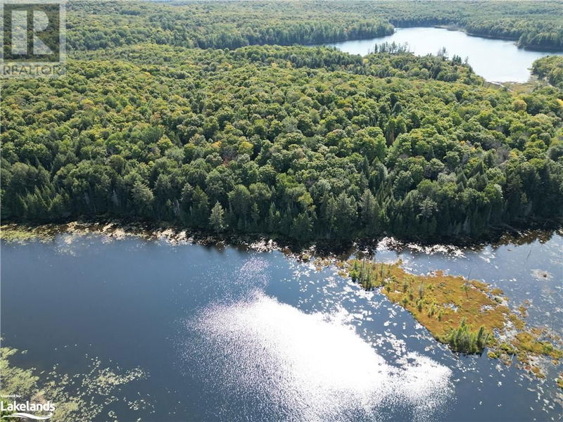 0 BUSHWOLF LAKE Road  Haliburton, K0M1S0 | Image 6