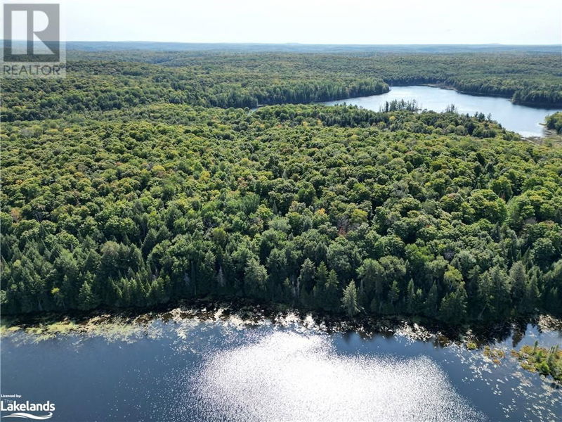 0 BUSHWOLF LAKE Road  Haliburton, K0M1S0 | Image 7