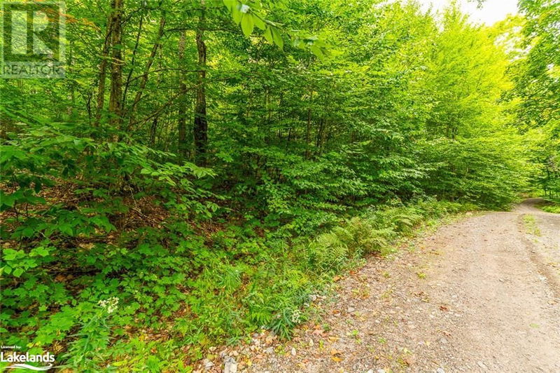 18 ADELINE Trail  Haliburton, K0M1S0 | Image 11