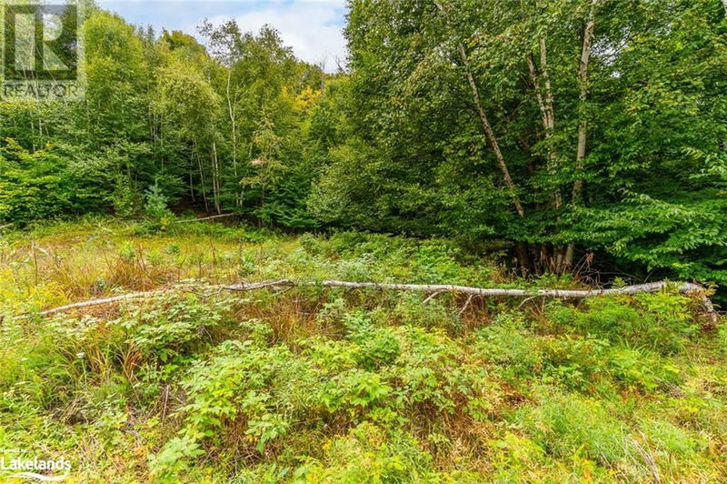 18 ADELINE Trail  Haliburton, K0M1S0 | Image 8