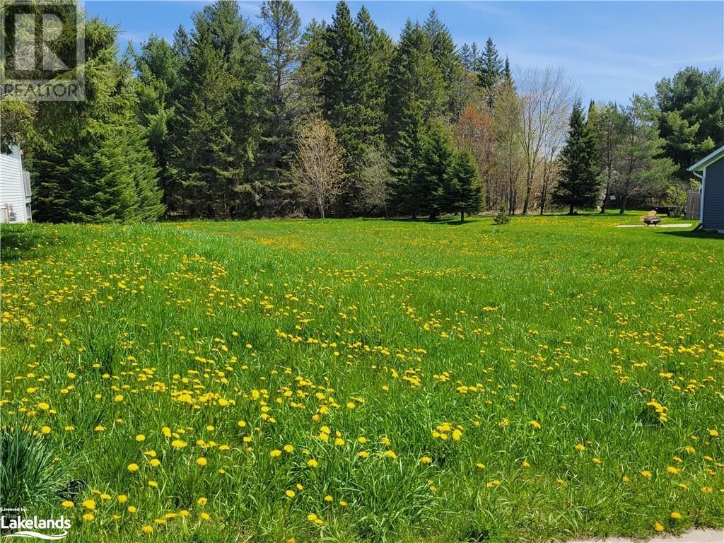 84 COVERED BRIDGE Trail Image 7