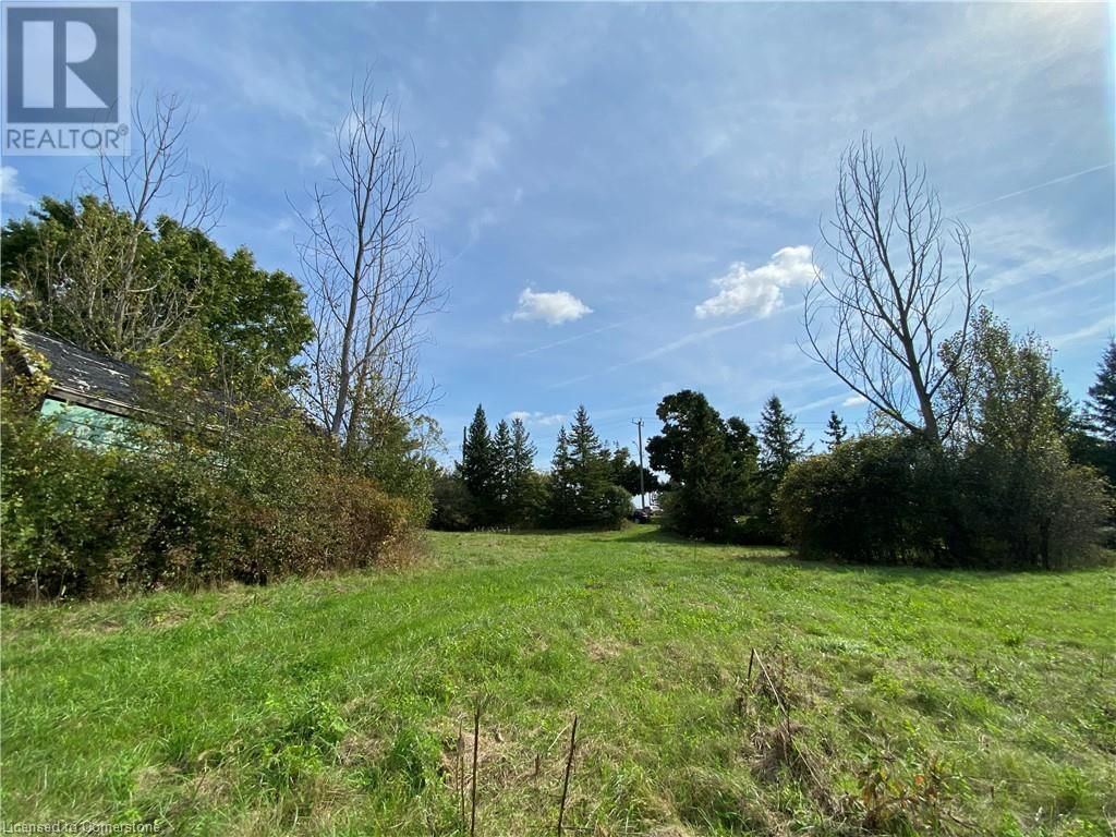 11 ECHO STREET Image 7