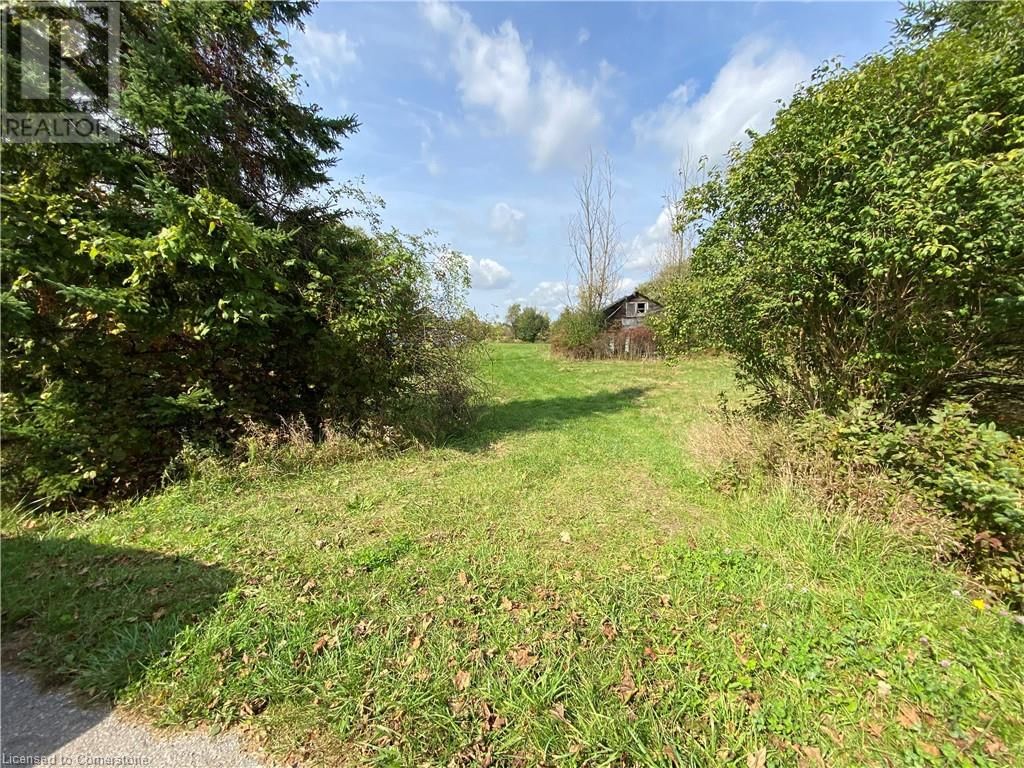 11 ECHO STREET Image 8