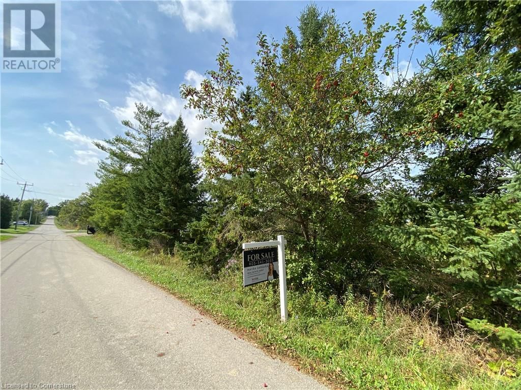11 ECHO STREET Image 9