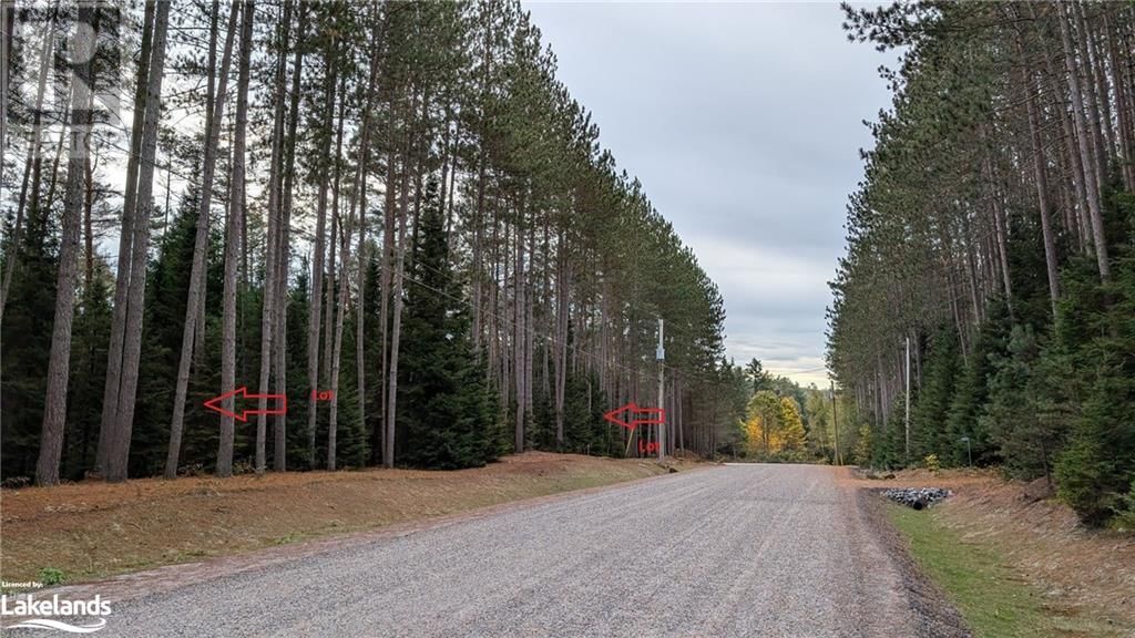 2 RED PINE Trail Image 1