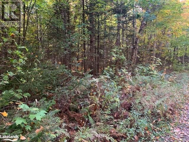 0 SUGAR BUSH Road E Image 26