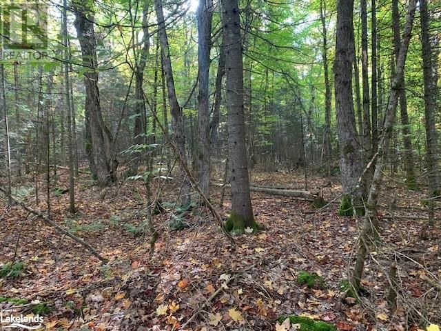 0 SUGAR BUSH Road E Image 28