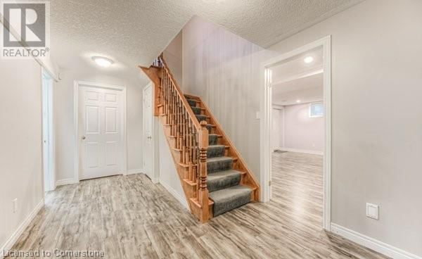 532 BIRCHLEAF Walk Image 38