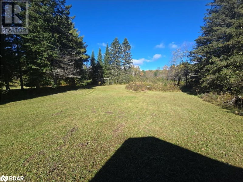 1057 TAG ALDER TRAIL Trail  Kinmount, K0M2A1 | Image 13